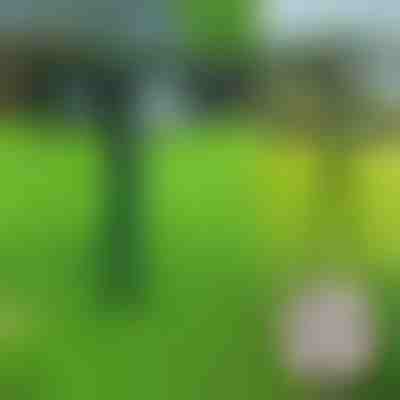 Ultradźwiękowy odstraszacz zwierząt | SONICFIELD