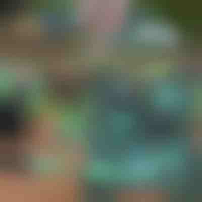 Zestaw ogrodniczy | GARDIKIT