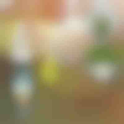 Płynny nawóz dla roślin | PLANTBOOST