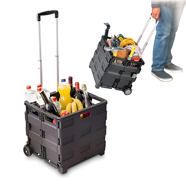 CARRYMAX