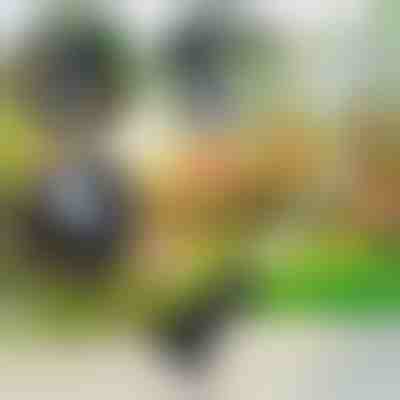 Narzędzie Ogrodowe 3 w 1 | VERSAX