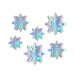 HOLOFLAKE