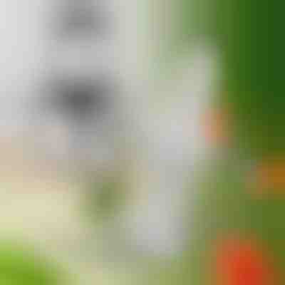 Dodatkowe ostrza do MULTIMINCER | MULTIBLADE