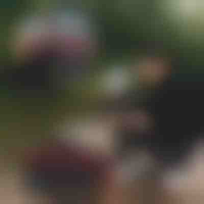 Składane wiadro wędkarskie | RIBETINA