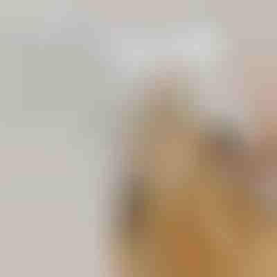 Akumulatorowa szczotka parowa łatwo usuwająca wypadającą sierść | GROOMSY