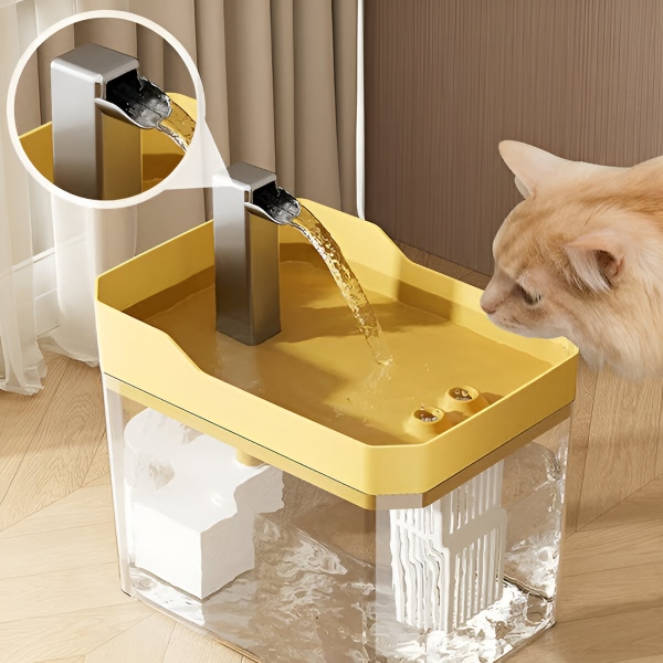 PETSPRINGLE21300__0e57c80b