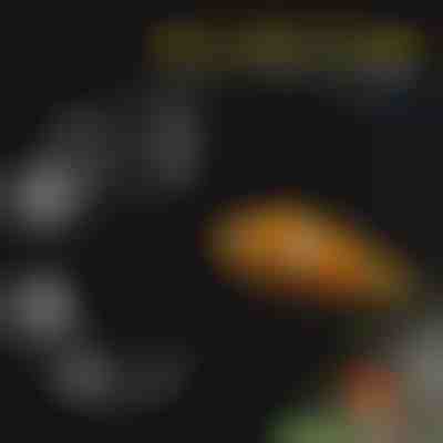 Zestaw tacek do karmienia akwariowego | FINTROL