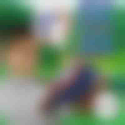 10+10 STRZAŁEK PIANKOWYCH GRATIS do BLASTKID | F2OAMBULLETS