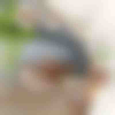 Interaktywna zabawka – machający ptaszek | CHIRRCAT